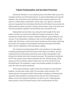 Tubular Reabsorption and Secretion Processes Reading Worksheet sample page