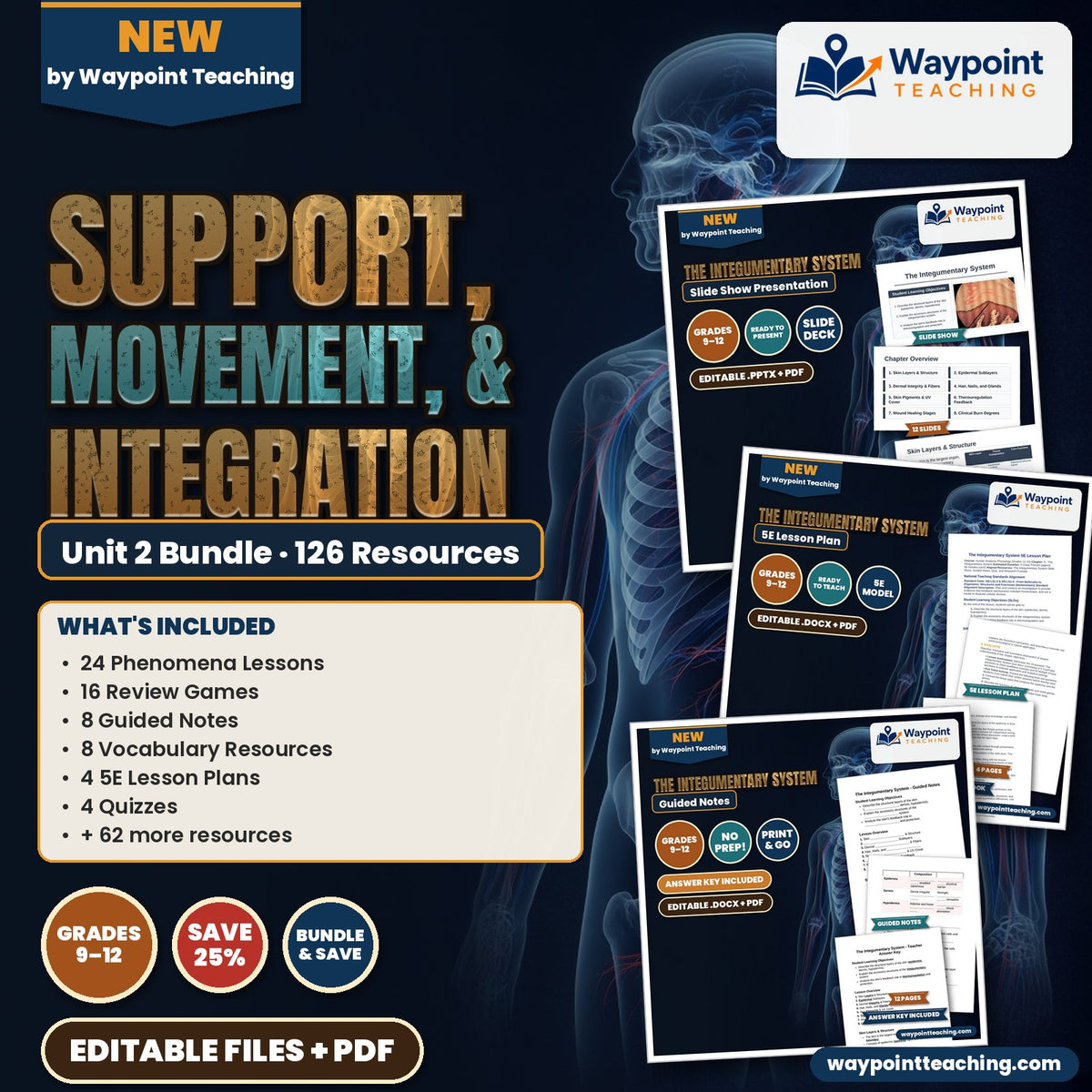 HS Anatomy & Physiology Unit 2: Support, Movement, & Integration Bundle cover