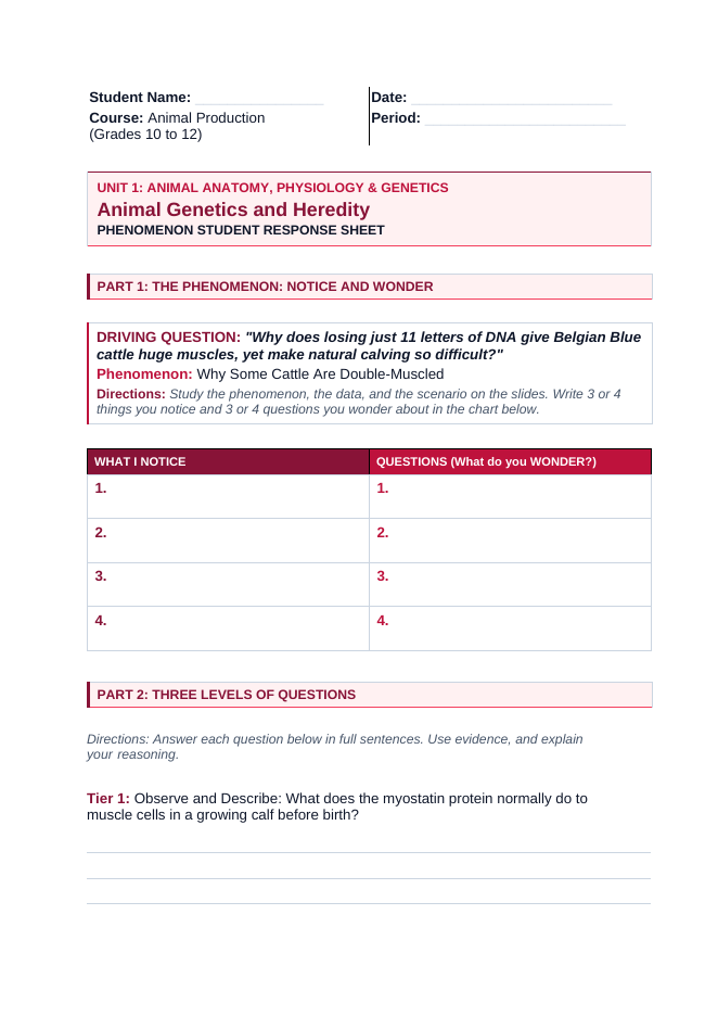 Animal Genetics & Heredity Phenomena-Based Lesson: Why Some Cattle Are Double-Muscled Student Response Sheet sample page