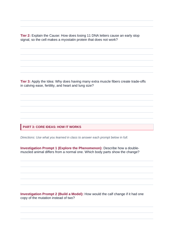 Animal Genetics & Heredity Phenomena-Based Lesson: Why Some Cattle Are Double-Muscled Student Response Sheet sample page
