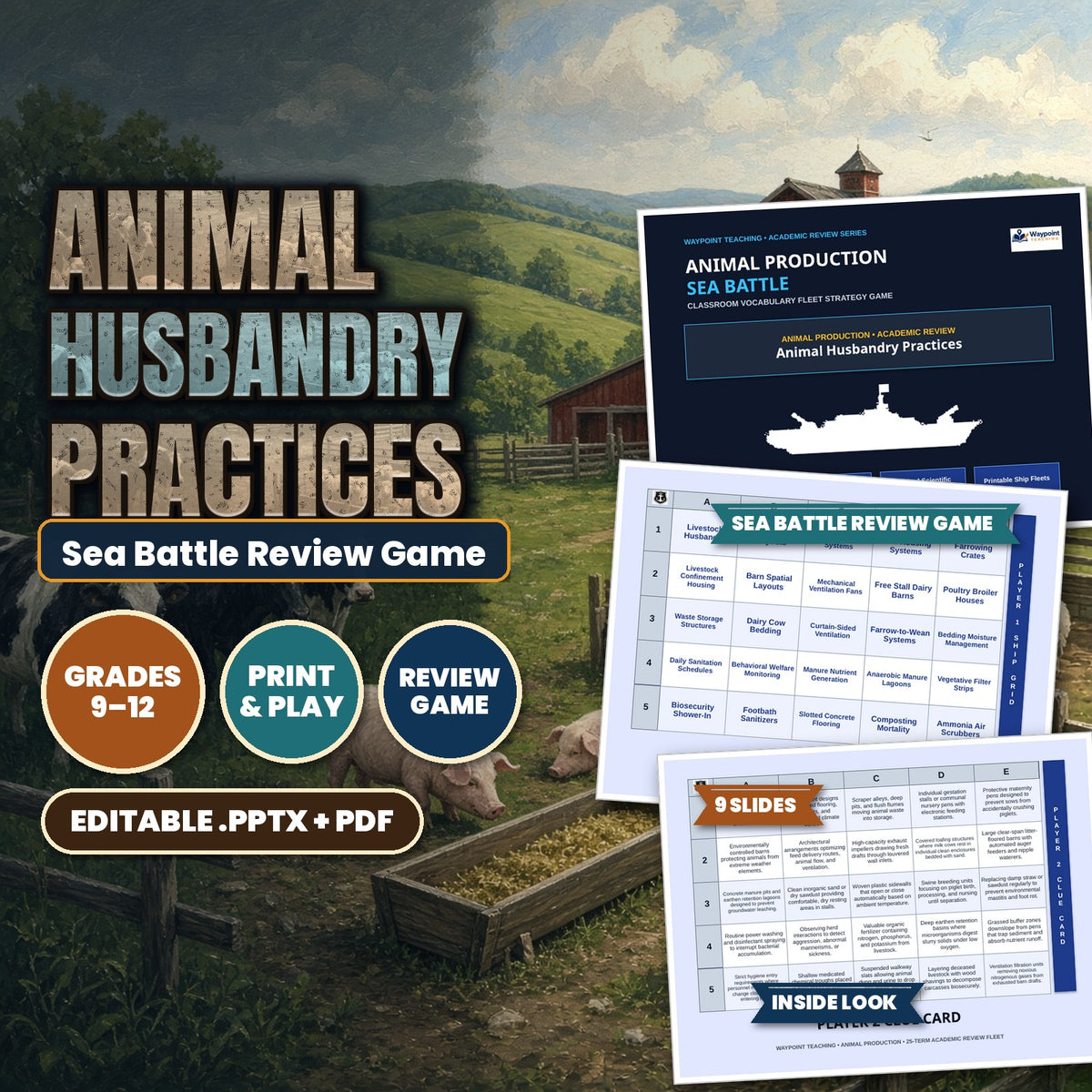 Animal Husbandry Practices Sea Battle Review Game cover