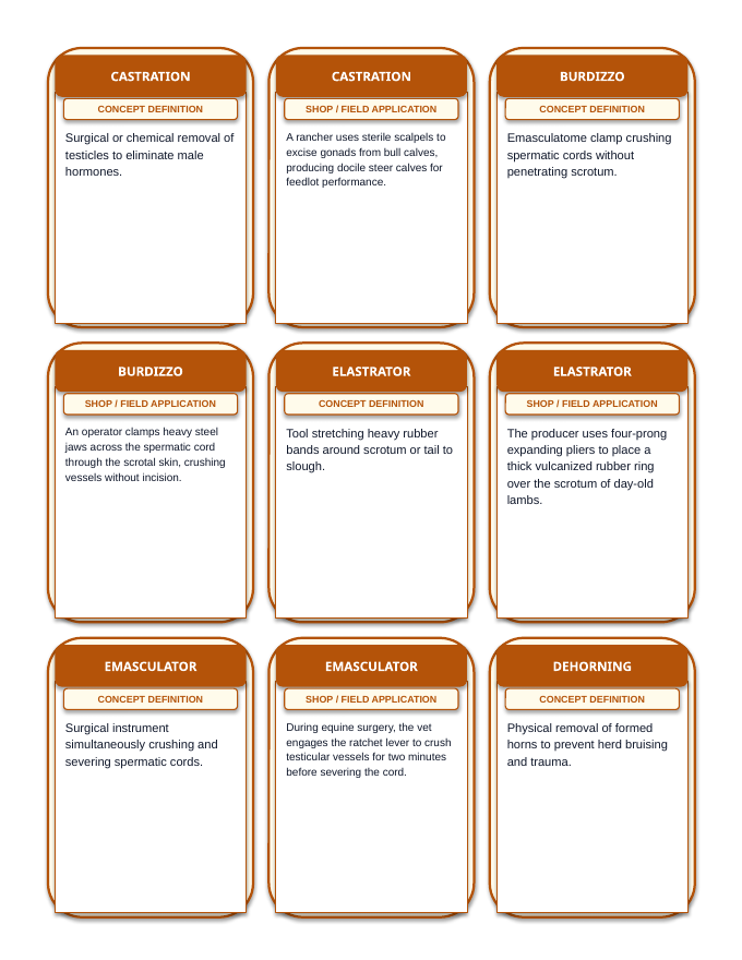 Animal Husbandry Practices Tic-Tac-Toe Review Game sample page