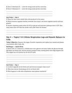 Biological Mechanics of Animals Bell Ringers & Exit Tickets sample page