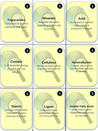 Core Nutrition of Animals Trivia Board Game sample page