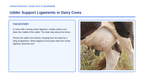 Dairy Cattle Classification & Evaluation Scaffolded Phenomena-Based Lesson: Udder Support Ligaments in Dairy Cows Presentation sample page
