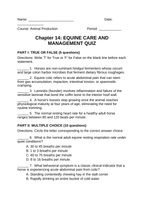 Equine Care & Management Lesson Quiz sample page