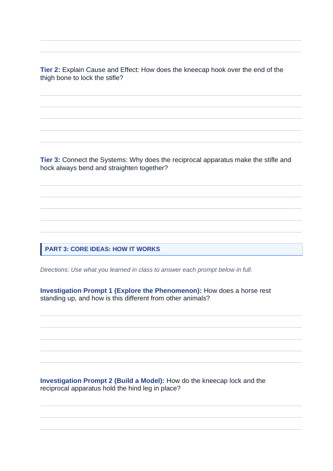 Equine Classification & Evaluation Phenomena-Based Lesson: How a Horse Can Doze Standing Up Student Response Sheet sample page