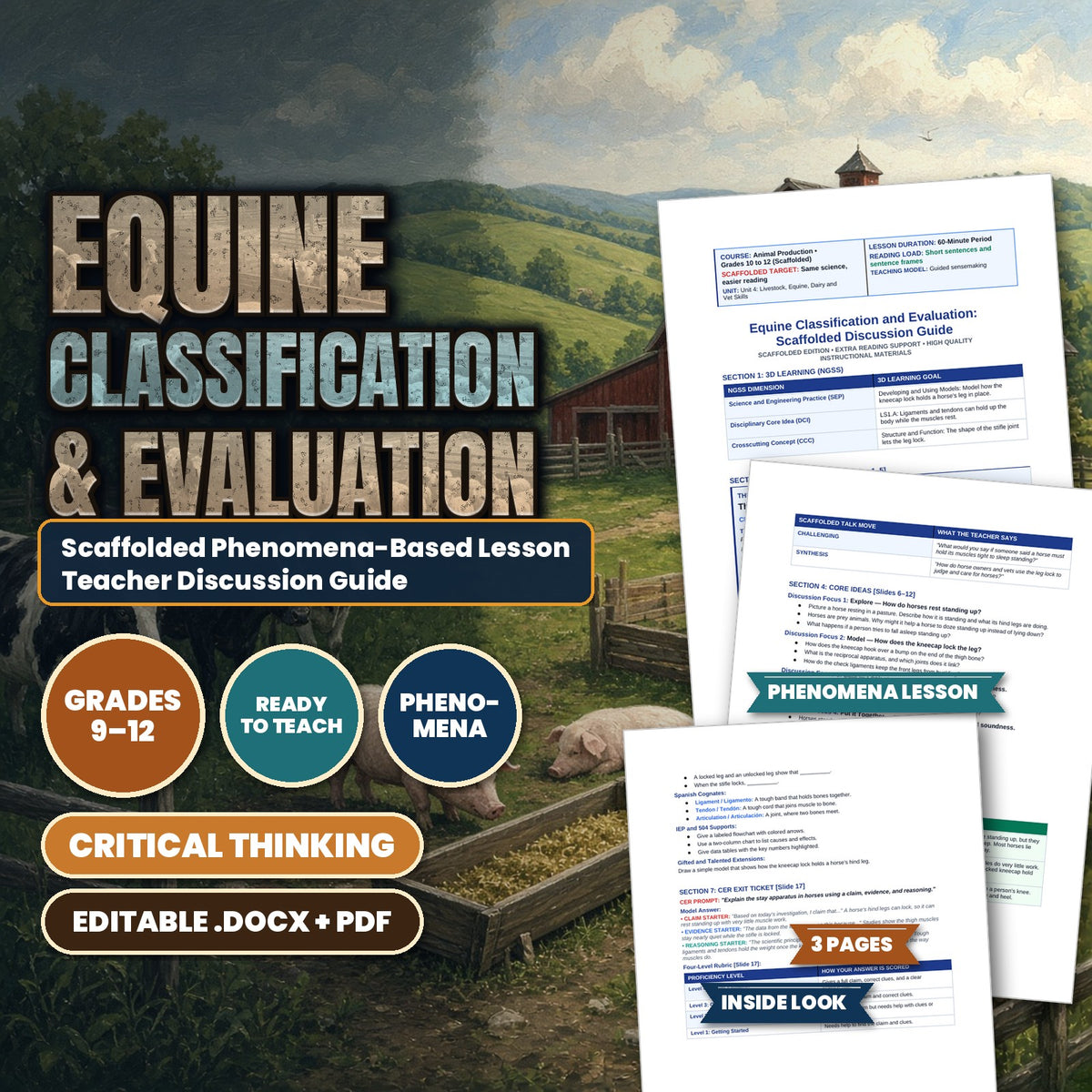 Equine Classification & Evaluation Scaffolded Phenomena-Based Lesson: The Stay Apparatus in Horses Teacher Discussion Guide cover