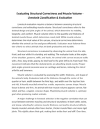 Evaluating Structural Correctness and Muscle Volume Reading Worksheet sample page