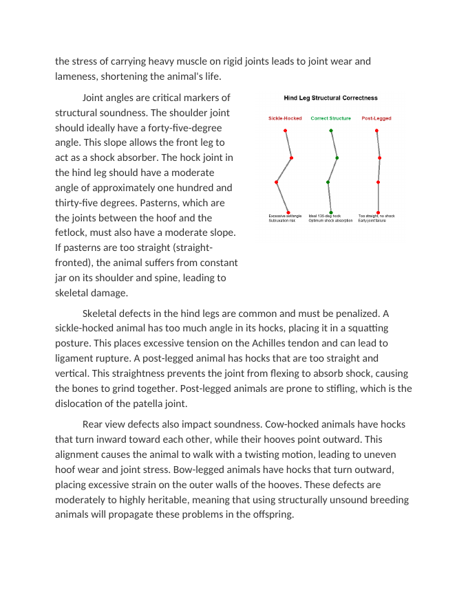 Evaluating Structural Correctness and Muscle Volume Reading Worksheet sample page
