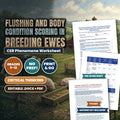 Flushing and Body Condition Scoring in Breeding Ewes: Ovulation Rate and Lambing Percentage CER Phenomena Worksheet cover