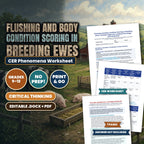 Flushing and Body Condition Scoring in Breeding Ewes: Ovulation Rate and Lambing Percentage CER Phenomena Worksheet cover