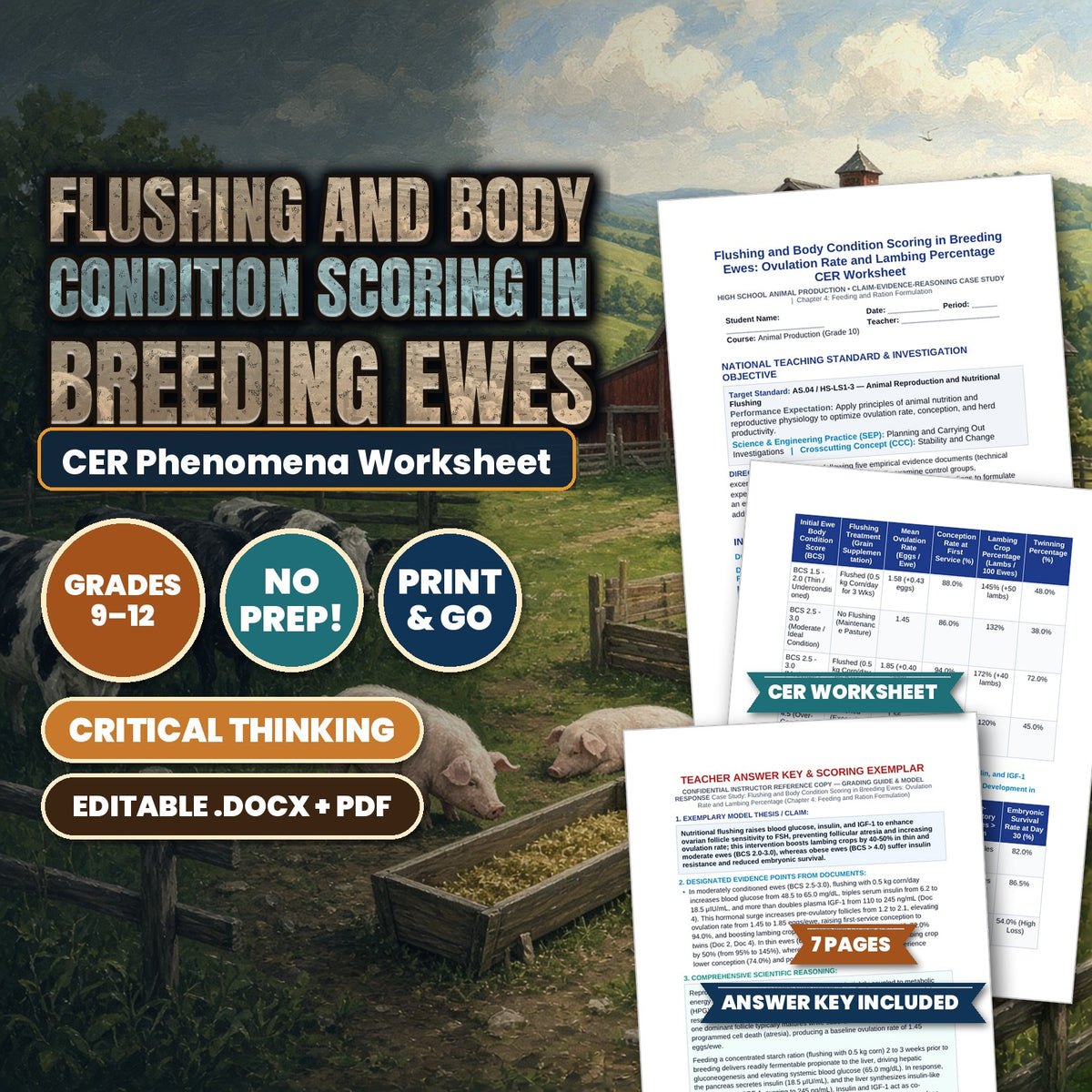 Flushing and Body Condition Scoring in Breeding Ewes: Ovulation Rate and Lambing Percentage CER Phenomena Worksheet cover