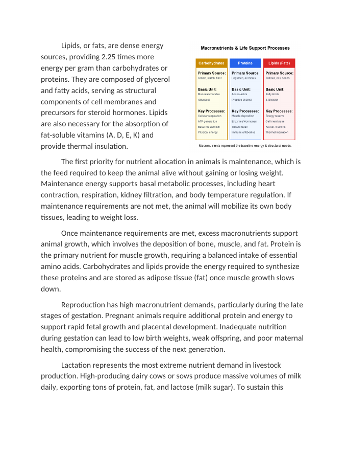 How Macronutrients Support Essential Life Processes Reading Worksheet sample page