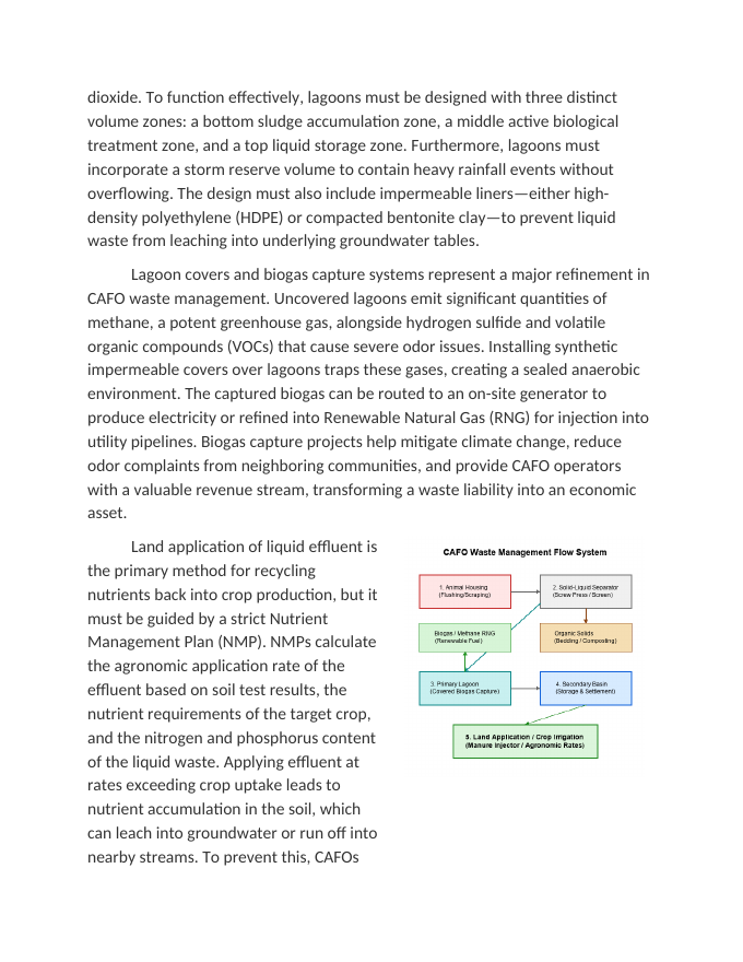 Refining Waste Management in Confined Animal Feeding Operations CAFOs Reading Worksheet sample page