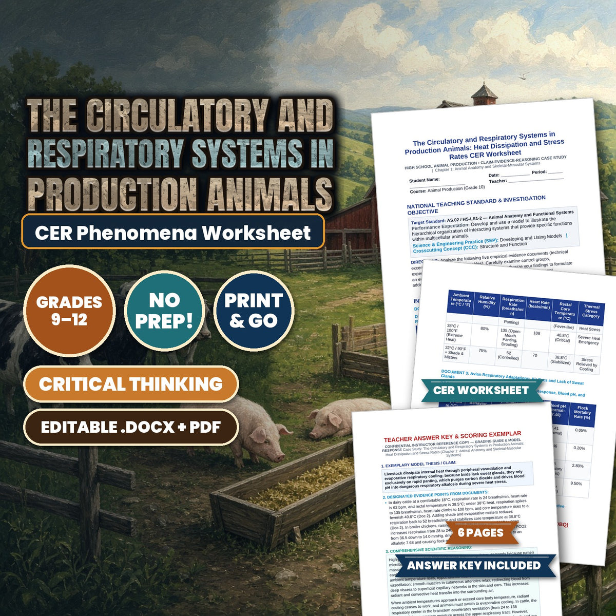 The Circulatory and Respiratory Systems in Production Animals: Heat Dissipation and Stress Rates CER Phenomena Worksheet cover