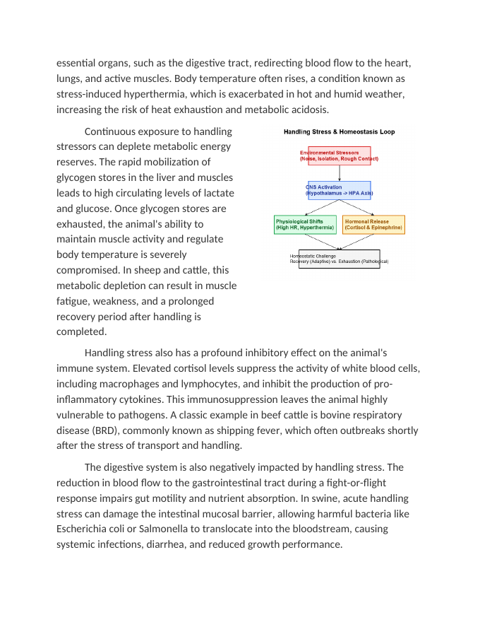 The Impact of Handling Stress on Animal Homeostasis Reading Worksheet sample page