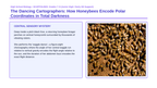 Animal Behaviors & Diversity Scaffolded Phenomena-Based Lesson: Honeybee Waggle Dance Presentation sample page