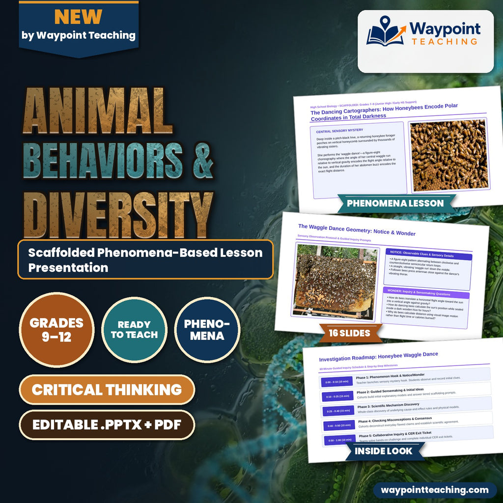 Animal Behaviors & Diversity Scaffolded Phenomena-Based Lesson: Honeybee Waggle Dance Presentation cover