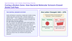 Applied Biology Phenomena-Based Lesson: CRISPR Sickle Cell Gene Editing Presentation sample page