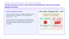 Applied Biology Scaffolded Phenomena-Based Lesson: CRISPR Sickle Cell Gene Editing Presentation sample page