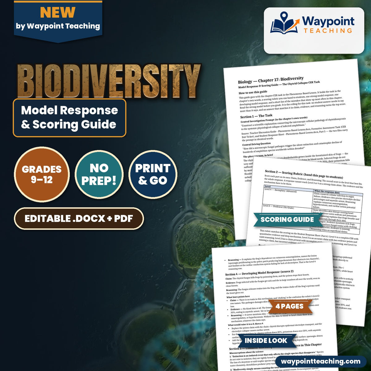 Biodiversity Model Response & Scoring Guide cover