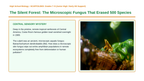 Biodiversity Scaffolded Phenomena-Based Lesson: Chytrid Amphibian Dieoff Presentation sample page