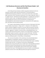 Cell Membrane Structure and the Fluid Mosaic Model Reading Worksheet sample page