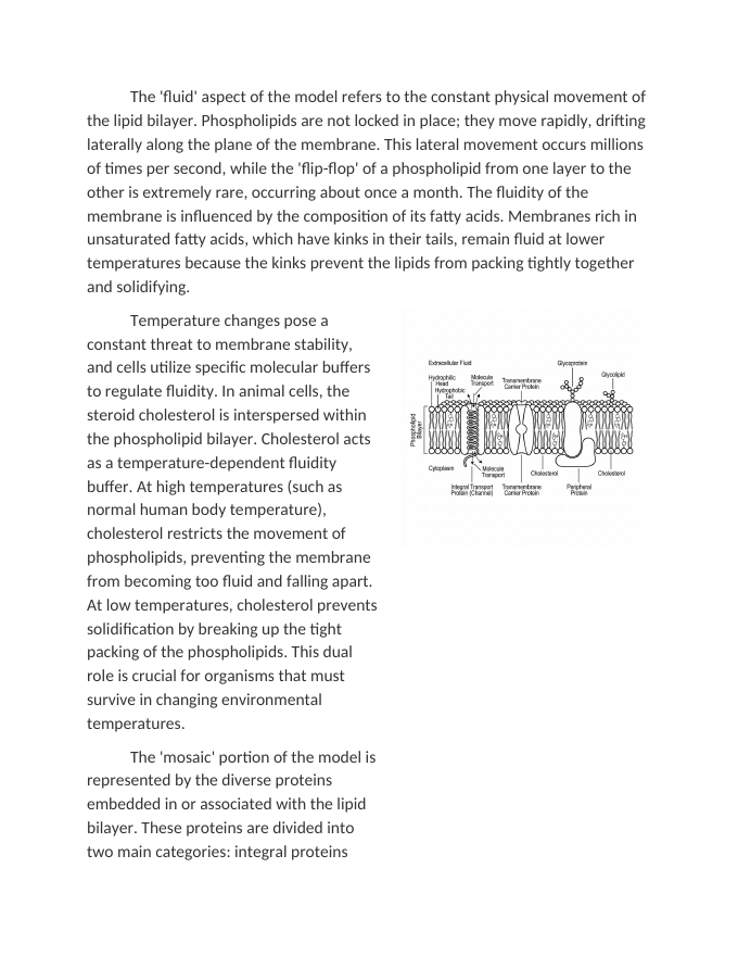 Cell Membrane Structure and the Fluid Mosaic Model Reading Worksheet sample page