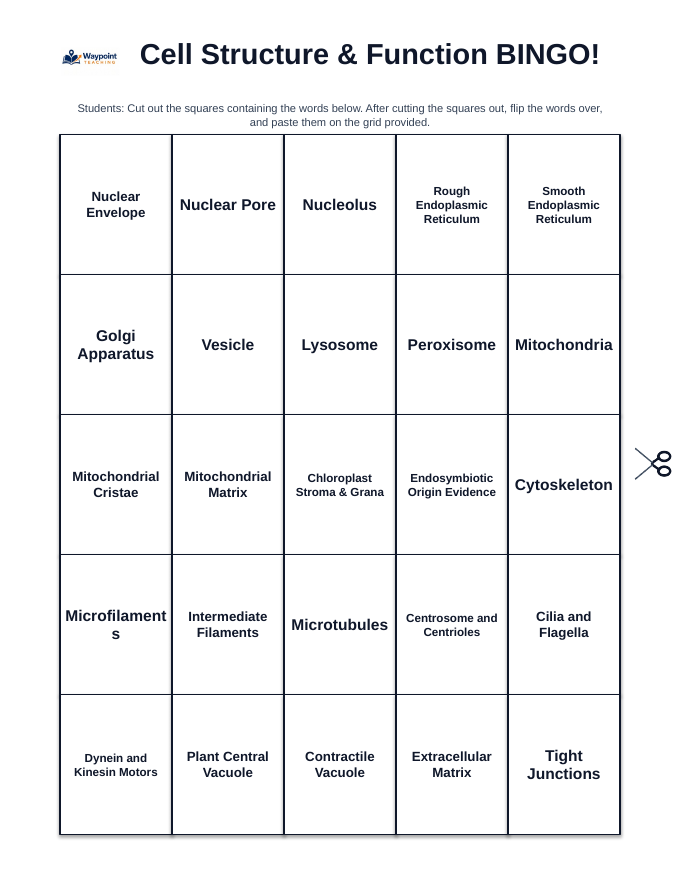 Cell Structure & Function BINGO Review Game sample page