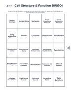 Cell Structure & Function BINGO Review Game sample page