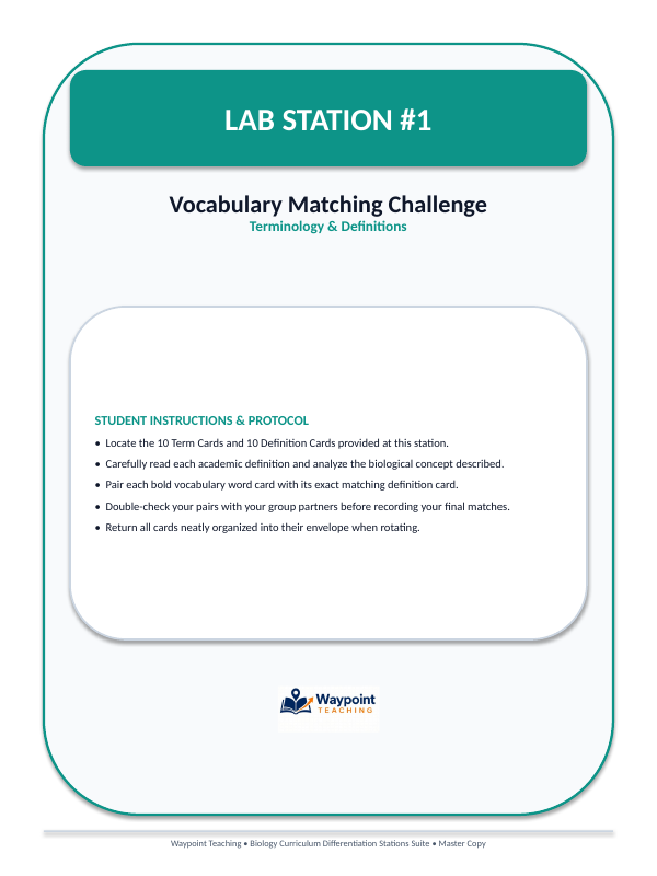 Cell Structure & Function Differentiation Stations sample page
