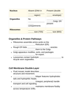 Cell Structure & Function Guided Notes sample page