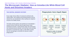 Cell Structure & Function Phenomena-Based Lesson: Macrophage Phagocytosis Presentation sample page