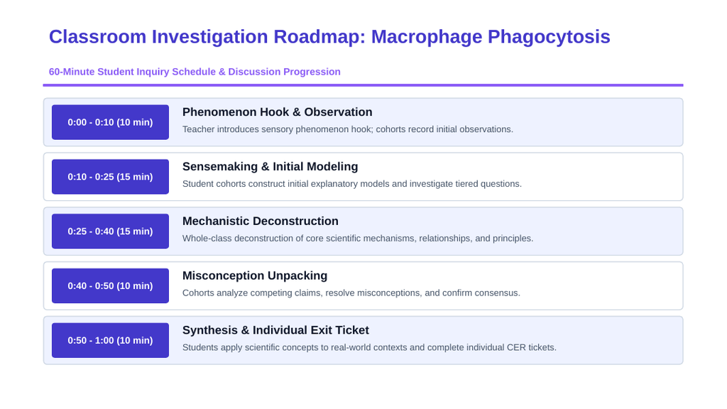 Cell Structure & Function Phenomena-Based Lesson: Macrophage Phagocytosis Presentation sample page