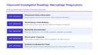 Cell Structure & Function Phenomena-Based Lesson: Macrophage Phagocytosis Presentation sample page