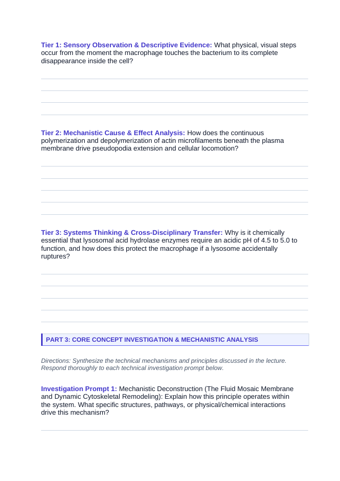 Cell Structure & Function Phenomena-Based Lesson: Macrophage Phagocytosis Student Response Sheet sample page