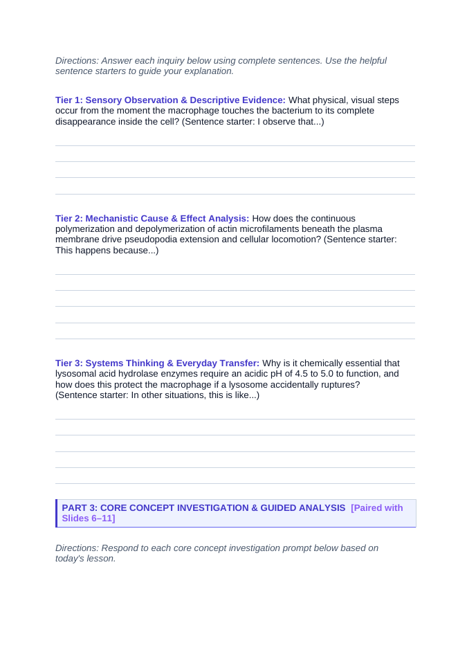 Cell Structure & Function Scaffolded Phenomena-Based Lesson: Macrophage Phagocytosis Student Response Sheet sample page