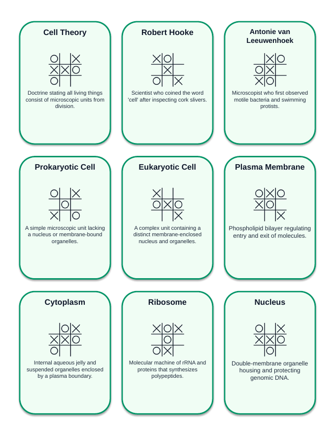 Cell Structure & Function Tic-Tac-Toe Review Game sample page