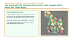 Cellular & Sexual Reproduction Scaffolded Phenomena-Based Lesson: HeLa Immortal Cell Line Presentation sample page