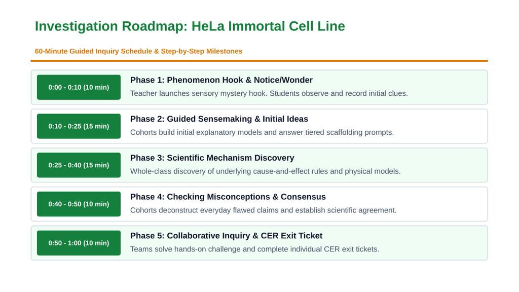 Cellular & Sexual Reproduction Scaffolded Phenomena-Based Lesson: HeLa Immortal Cell Line Presentation sample page