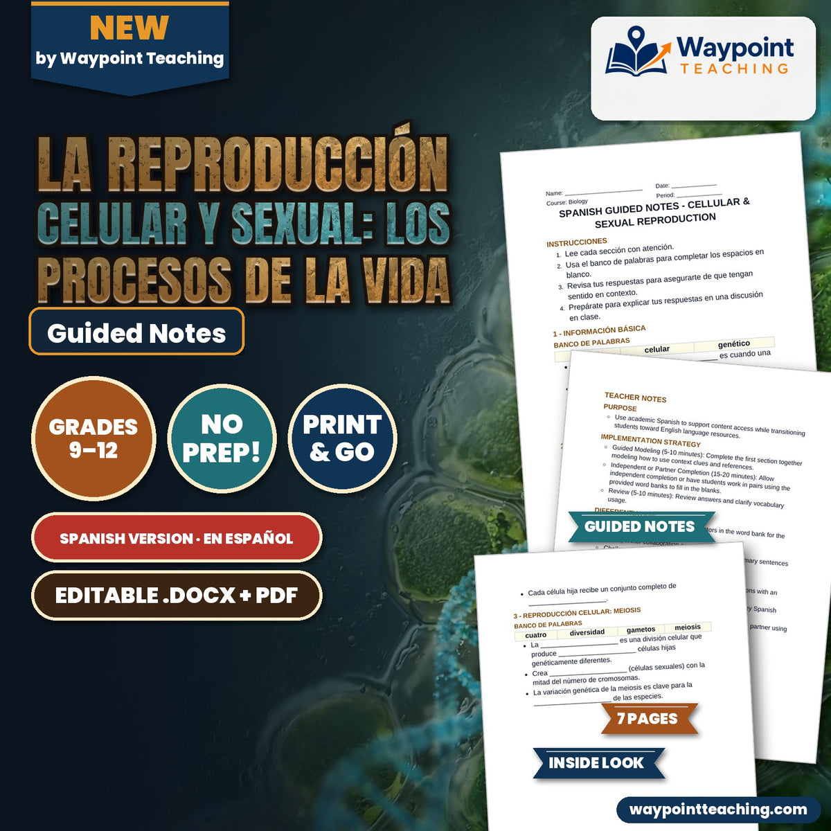 Cellular & Sexual Reproduction Spanish Guided Notes cover