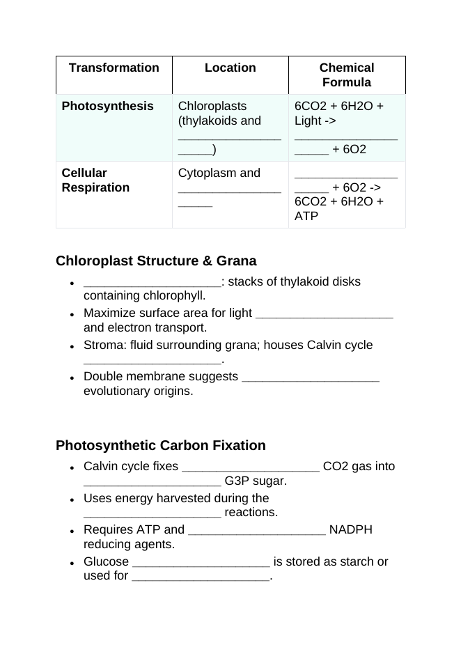 Cellular Energy Guided Notes sample page