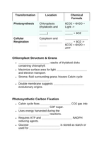 Cellular Energy Guided Notes sample page