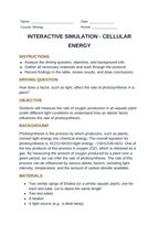 Cellular Energy Interactive Simulation sample page