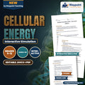 Cellular Energy Interactive Simulation cover
