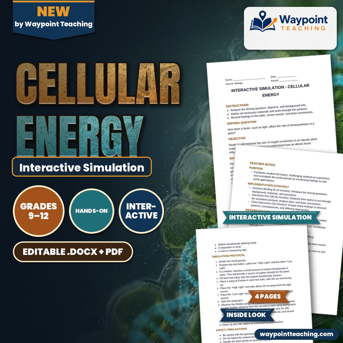 Cellular Energy Interactive Simulation cover