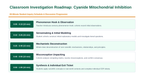Cellular Energy Phenomena-Based Lesson: Cyanide Mitochondrial Inhibition Presentation sample page