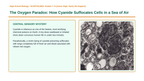 Cellular Energy Scaffolded Phenomena-Based Lesson: Cyanide Mitochondrial Inhibition Presentation sample page