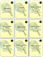 Cellular Energy Trivia Board Game sample page